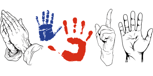 Marmové body a&nbsp;mudry v&nbsp;józe: jemná anatomie vědomé praxe